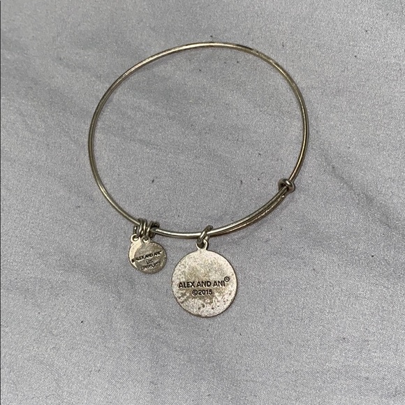 Alex and Ani NYC Big Apple bracelet - Picture 2 of 2